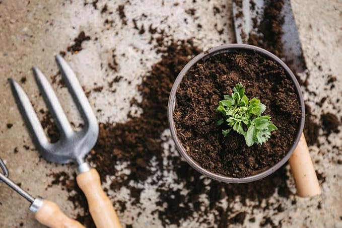 Premium Celery Potting Soil Mix - Optimal Nutrient-Rich Blend for Thriving and Crisp Celery Plants - 1 Quart