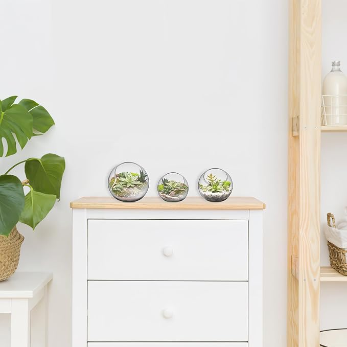 Mipcase 3 Pcs Plant Terrarium Plant Holder Terrarium Air Plant, 3 Round Glass Vase for Succulents, Clear Bubble Planter for Home Decor, Oblique Opening Glass Bowls Succulent Orbs Mini Tank