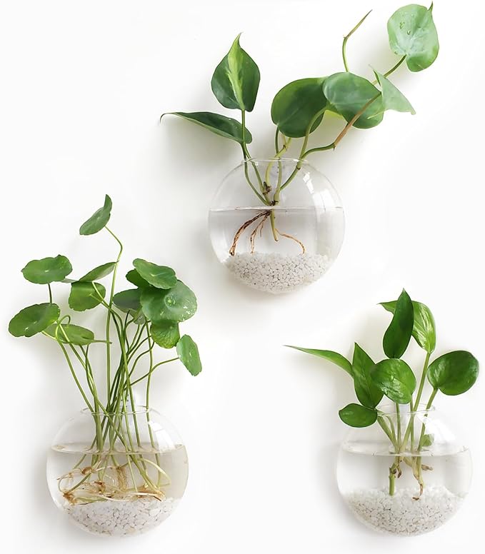 Mkono Wall Hanging Planter Propagation Station Glass Flower Vase for Hydroponics Plants, Bathroom, Home Office Living Room Decor Gift, Oblate Set of 3