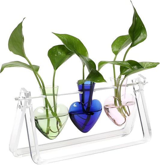 Plant Terrarium Propagation Stations with Acrylic Stand Birthday Gifts for Women Plant Stand Indoor Office Home Decor