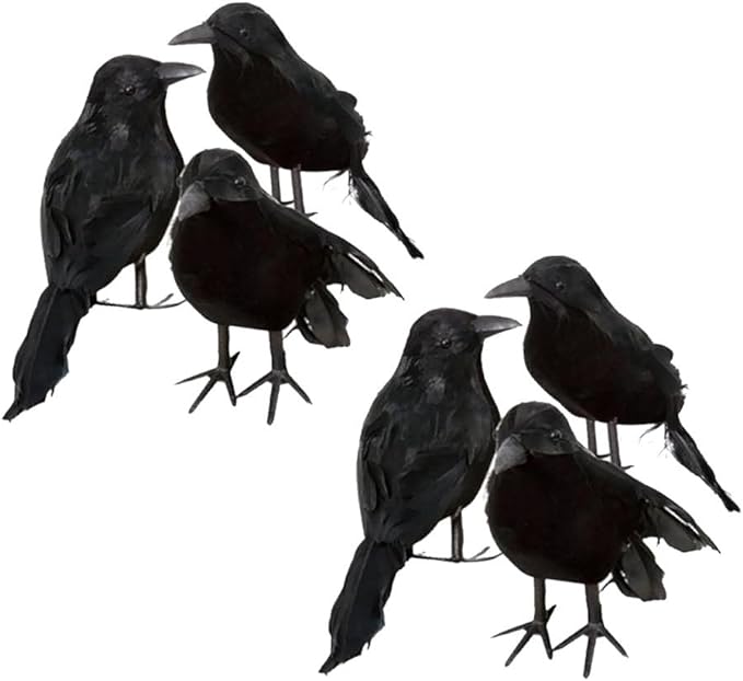 ZODIFEVI 6 Pack Realistic Crows, Real Touch Black Feathered Crows, Halloween Decorations,Artificial Handmade Feathered Raven, Halloween Party Decor Prop Outdoors and Indoors Decoration