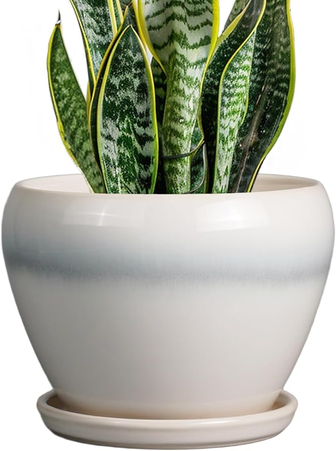 Ceramic Planter - 8 Inch Plant Pot with Drainage Hole and Saucer, Glaze Round Flower Pot for Home Garden Patio Office, White