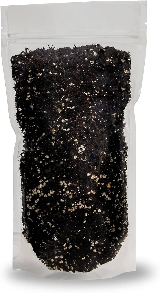 Fern + Perlite Soil Mix for Repotting and Planting Succulents and Cactuses - 2 Quart Bag