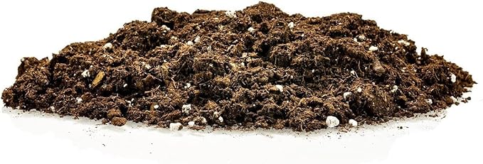 Premium Dracaena Potting Soil Mix - (2 Quart Bag)