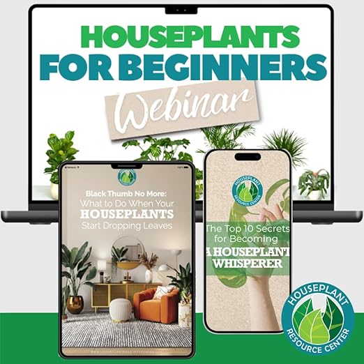 Leaf Armor Spray for Houseplants – Protects Against Fungal Leaf Spots, Bacteria, Pathogens & Yellowing | Gentle & Natural Phosphite Formula | Ready-to-Use | Made in USA – 8 oz