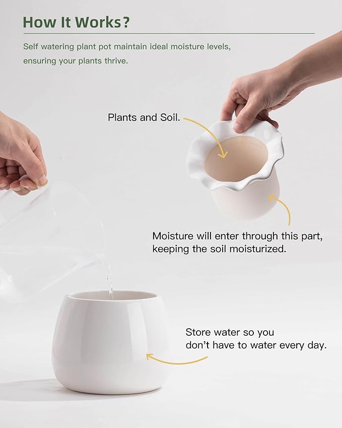 Self Watering Plant Pot, 6 Inch African Violet Pots Maintenance, Ceramic Self-Watering Planter for Indoor Plants - Ideal Flower Pot for Thriving Indoor Gardens