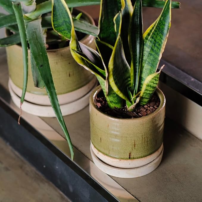 6 + 8 Inch Plant Pots, Ceramic Planter Pot with Drainage Hole & Saucer, Indoor/Outdoor Cylinder Round Planter Pot, Green