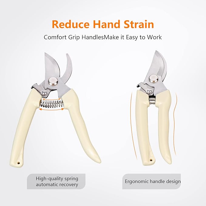 Garden Scissors for Plant, Tip Pruning Shears for Cutting Flowers, Trimming Plants, Bonsai and Fruits Picking (2 PC Bypass Blade Pruner)