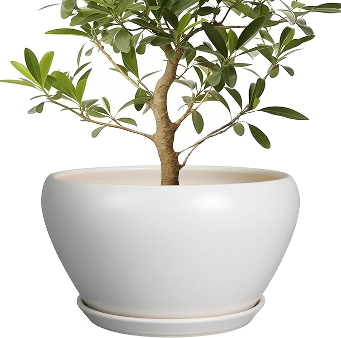 Planter for Indoor Plants 13 Inch - Ceramic Plant Pot with Drainage Hole and Saucer Decorative Round Large Planter Pot for Plants Outdoor Flower Pot for Room Decor White