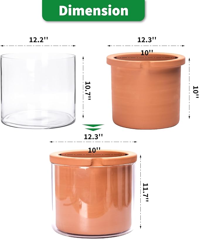 Phoenix Vine 10 Inch Self Watering Planter, White Terracotta Pot for Plants, Indoor Cylinder Terra Cotta Pot with Glass Vase