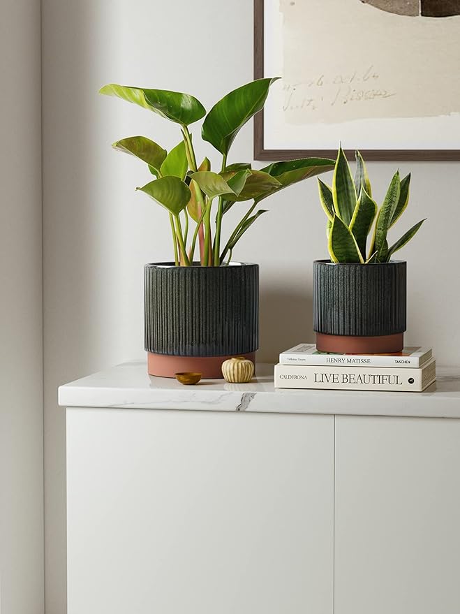 LE TAUCI Ceramic Plant Pots with Drainage Holes, Set of 3, 8+6.7+5.5 Inch Stripe Garden Planter Pots for Outdoor Indoor Plants Flower, Round Succulent Orchid Flower Pot, Reactive Glaze Black