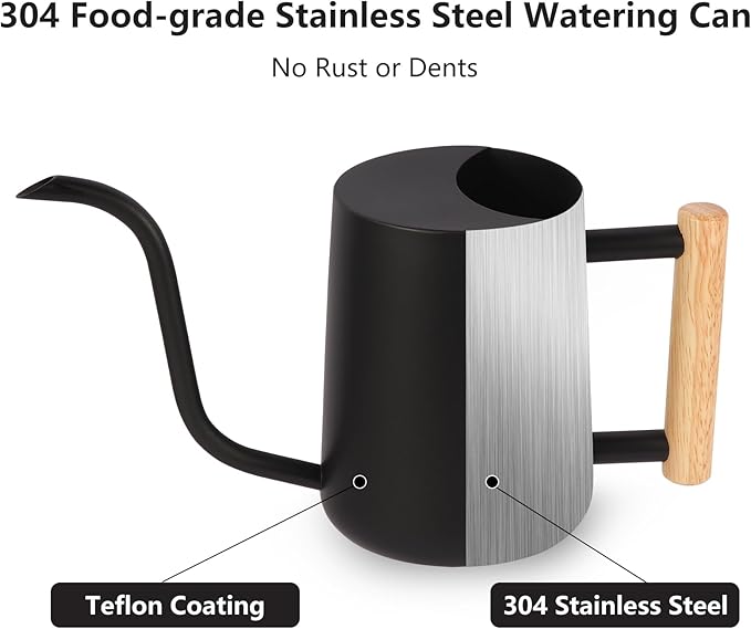 Plant Watering Can,35oz Metal Watering Can,Stainless Steel Watering Can Indoor Plants with Long Curved Spout,Small Watering Can for Indoor Plants,Bonsai Outdoor Garden Modern Decorative(Black)