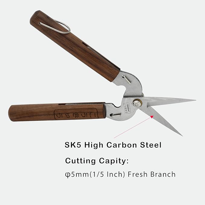 Razor Sharp Pruning Shears for Gardening, Garden Shears Carbon Steel Blade, Precision garden scissors Walnut Wood handle, 6.8” Garden Snips for Trimming Fruits, Vegetables, Flowers, Buds, Bonsai