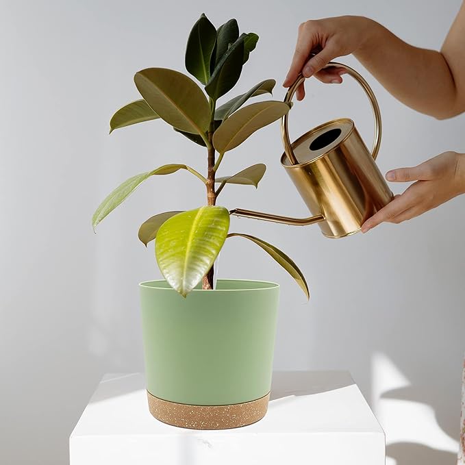 QCQHDU 6.5 inch Plant Pot, 2 Pack Planters for Indoor Plants with Drainage Holes & Saucer, Outdoor Flower Pots Home Garden Modern Decor