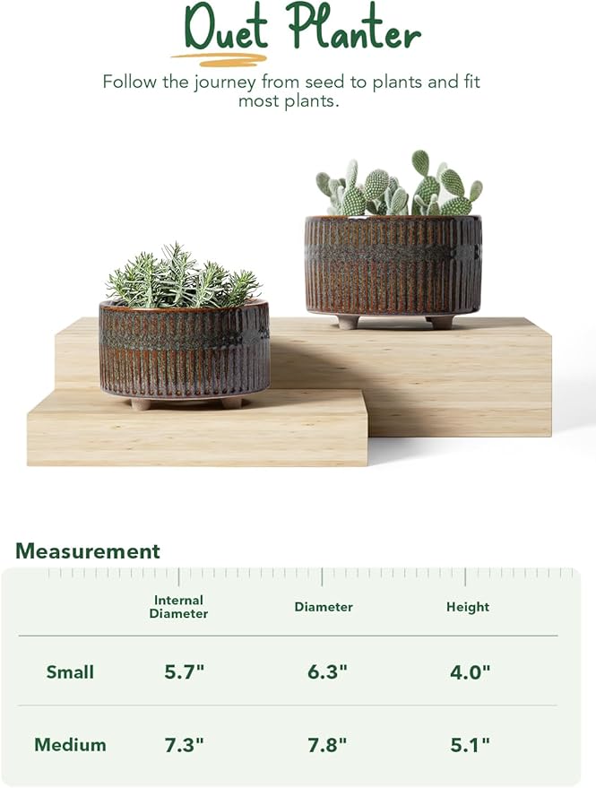 LE TAUCI Succulent Pots, 6.5+8 Inch Ceramic Indoor Plant Pot with Drainage Hole, Modern Round Decorative Flower Pot, Set of 2, Reactive Glaze Black