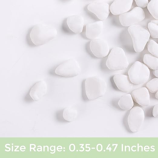SIDONG 5 LB White River Rocks, 0.3-0.5 Inches Matte Pebbles for Indoor Plants, Aquarium Rocks Used in Fish Tank, Decorative Stones for Plants, Vases, Home Décor, Crafting, Garden Landscaping