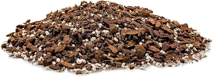 Premium Swiss Cheese Plant Potting Mix - Monstera Deliciosa Blend for Optimal Nutrients and Drainage for Healthy Growth - 4 Quart