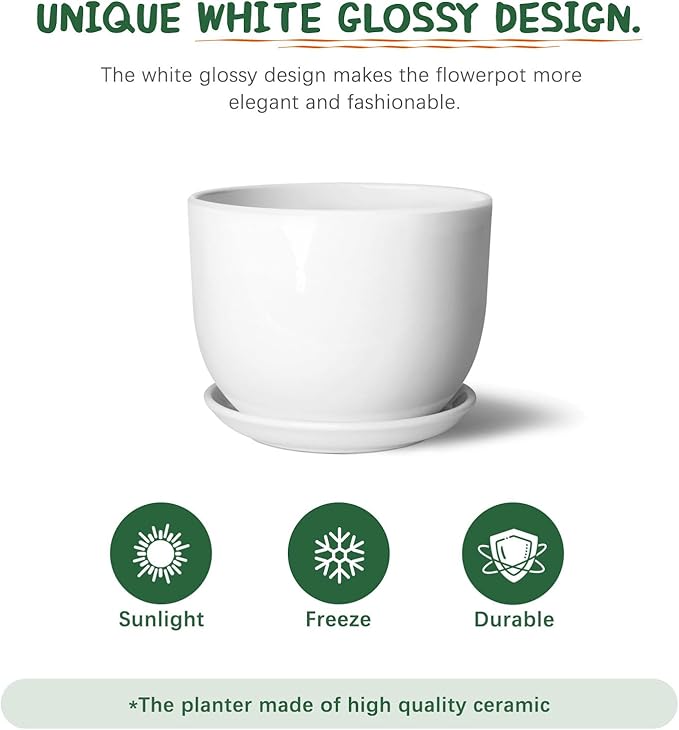 8 Inch Ceramic Planter, Plant Pots with Drainage Hole and Separable Saucer,Indoor-Outdoor Round Succulent Orchid Flower Pot,Indoor pots for Plants(Smooth White,Plant Pot only)