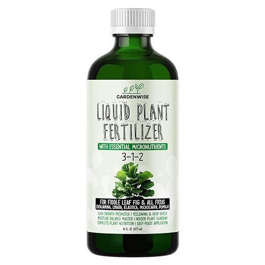 3-1-2 Liquid Fertilizer Concentrate with Micronutrients - Optimal Fiddle Leaf Fig Plant Food, Ideal for Ficus Lyrata & Fig Trees, Gold Leaf Enhanced Indoor Plant Fertilizer (16 OZ)
