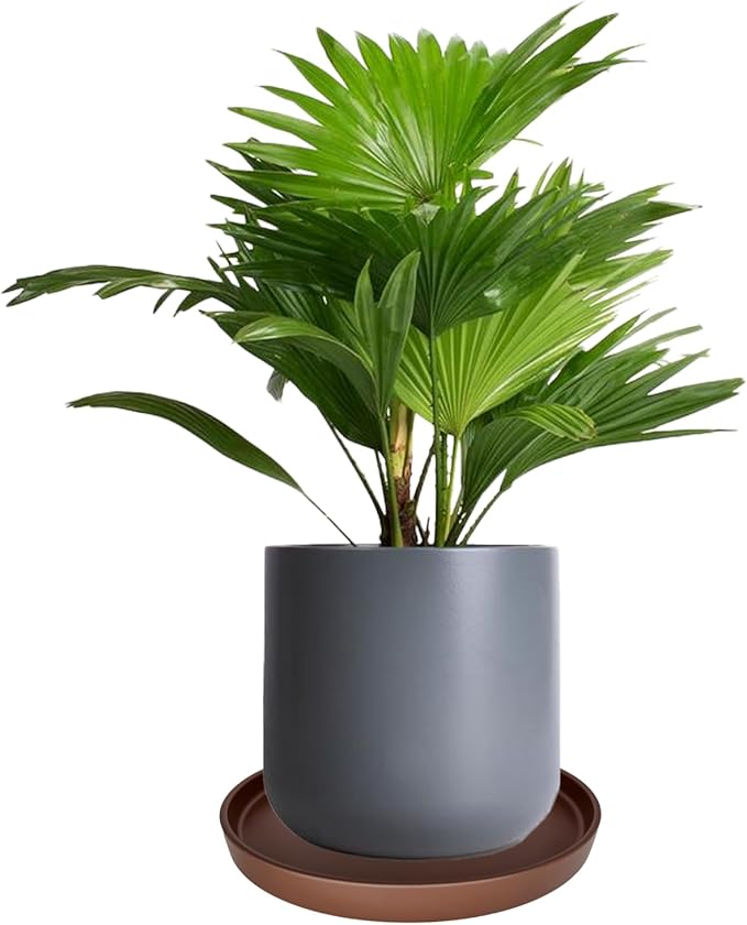 Ceramic Plant Saucer Pot Tray 12 Inch, Planter Saucers 4 5 6 7 8 9 10 11 12 13 Inch for Indoors Outdoor, Durable Sturdy Flower Drainage drip Water Tray for Glazed Pots Base (12.7 Inch-Brown)