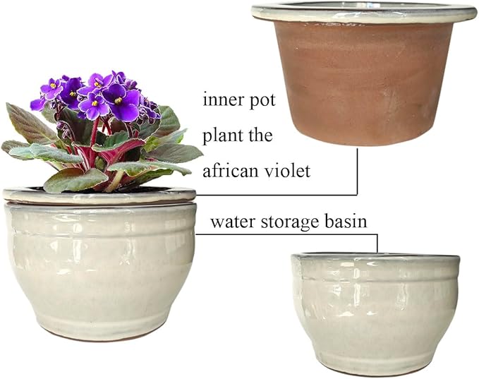 African Violet Pots Self Watering Round Ceramic Violet Pot (White, 6 inch)