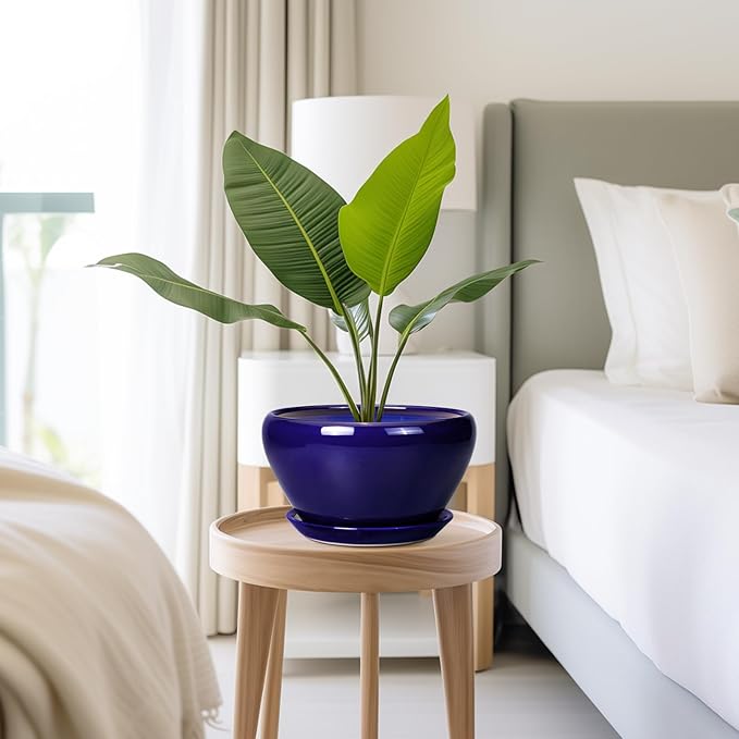 Planter for Indoor Plants 9 Inch - Ceramic Plant Pot for Indoor Plants Round Planter Outdoor Flower Pot with Drainage Hole and Saucer for Home Office Patio Decor Blue