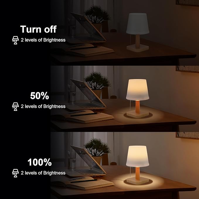 pearlstar Solar Table Lamp Outdoor - 2 Pack LED Waterproof Cordless Solar Desk Lamp with Pull Chain 2 Lighting Modes, Auto ON/Off for Outside Patio Coffee Table Garden Bedroom Living Room(White)