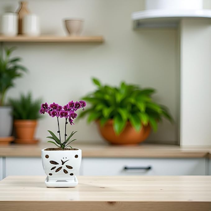 Orchid Pots with Holes Square Ceramic Orchid Planter Pots 5.5 inch (White)