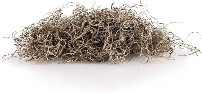 Premium Natural Spanish Moss | Natural Preserved - Great Ground Cover - Filler for Potted Plants - by GARDENERA - 5 Quart Bag