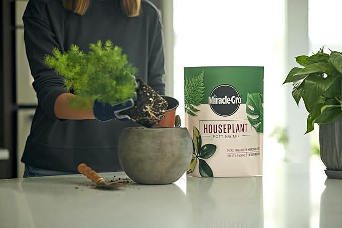 Miracle-Gro Houseplant Potting Mix - Fertilized Soil, Designed to be Less Prone to Gnats, 4 qt. (2-Pack)