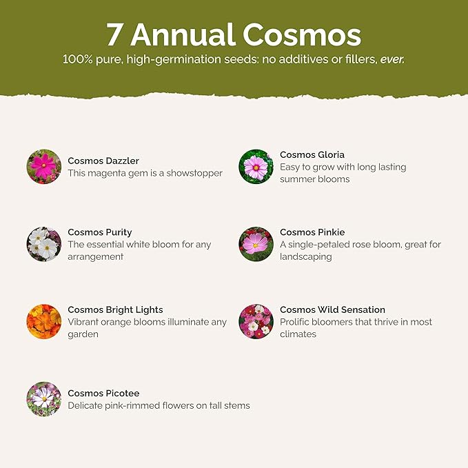Eden Brothers Crazy for Cosmos Flower Mixed Seeds for Planting, 1 lb, 480,000+ Seeds with Cosmos Gloria, Pinkie, Purity | Attracts Pollinators, Plant in Spring or Fall, Zones 3, 4, 5, 6, 7, 8, 9, 10