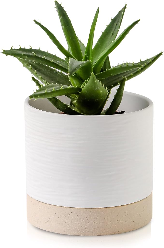Nihow Ceramic Plant Pot: 6 Inch Planter with Drainage Hole & Saucer for Indoor & Outdoor Plants - Cylinder Round Flower Pot for Succulent/Herbs/Violets - White & Brown