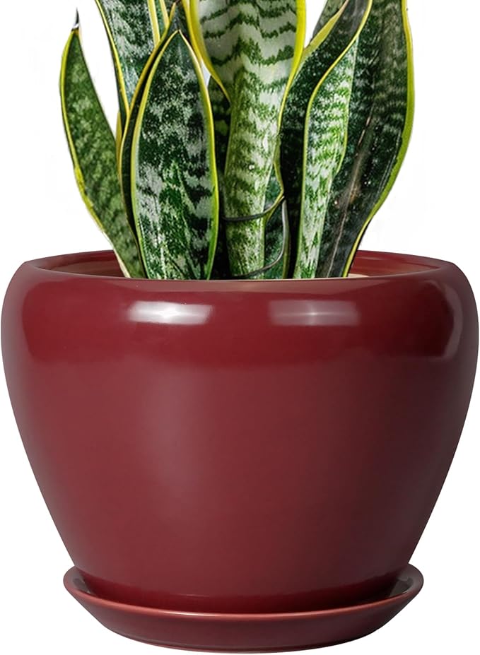 Ceramic Planter - 8 Inch Plant Pot Indoor with Drainage Hole and Saucer Planter for Outdoor Plants Round Flower Pot for House Patio Decor Red