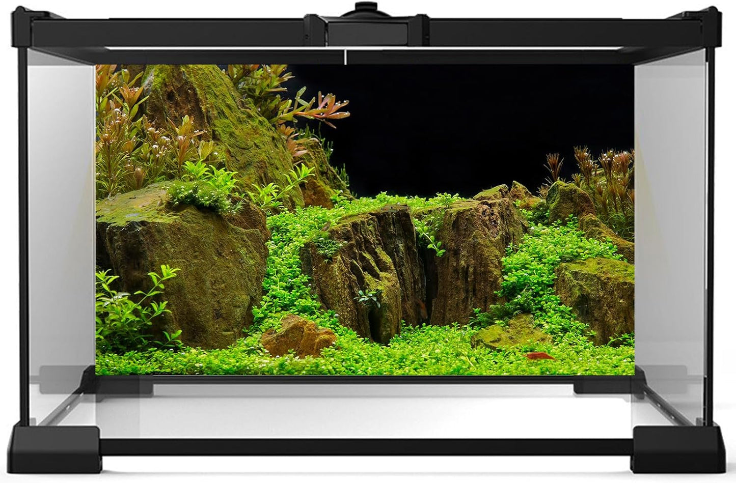 Aquarium Background Exquisite Underwater Grass with Moss Aquarium Backdrop Mysterious Stone Aquarium Background Durable Vivid and Fresh Leaves Background Tank Backdrop Decor Vinyl 72x24in