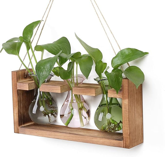 Plant Propagation Station Plant Terrarium Unique Birthday Gifts for Women Plant Lovers Home Office Decor Planter with Wooden Stand - 3 Bulb Glass Vase
