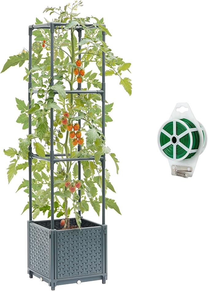 Raised Garden Bed with Tomato Planter Cage, Trellis Planter Boxes for Outdoor Patio Greenhouse Gardening Climbing Vegetables