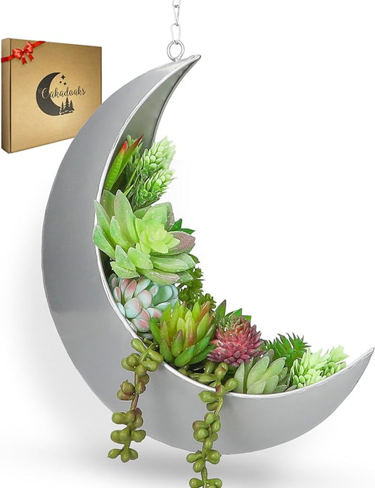 Hanging Moon Planter for Moon Room Decor - Great for Succulents, Air Plant, Mini Cactus, Faux, Artificial Plants-Boho Hanging Planters for Indoor Plants, Witchy Gifts for Women, Birthdays,Plant Lovers