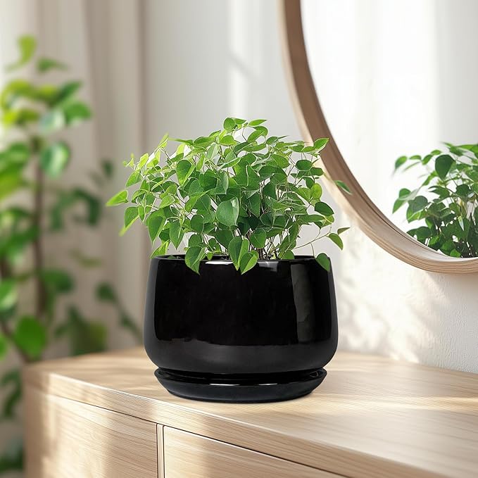 G EPGardening Ceramic Planter 7 Inch - Ceramic Pot for Plants with Drainage and Saucer, Round Plant Pots, Modern Indoor Outdoor Planter, Home Decor, Garden Gifts, Black