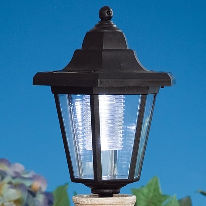 Bits and Pieces - Solar Dog Lantern-Solar Powered Garden Lantern - Resin Dog Sculpture with LED Light (Dachshund)