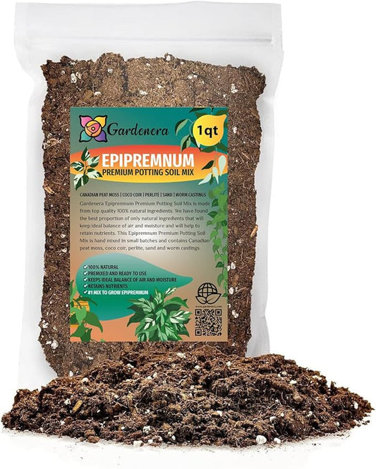 Premium Epipremnum Plant Potting Mix - Crafted for Lush Growth and Vibrant Foliage - 1 Quart