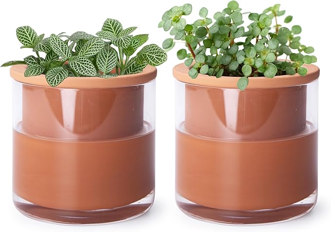 Phoenix Vine 4 Inch Self Watering Plants Pot, Design Terracotta Pot for Plants, Indoor Cylinder Terra Cotta Planter with Glass Vase, Set of 2, 51-A-E-2