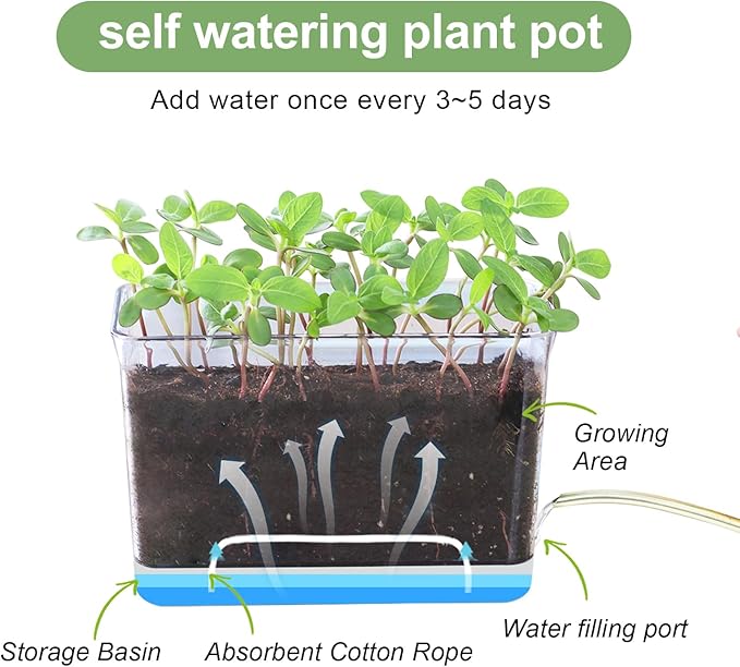 Self Watering Planters for Indoor Plants, 4 Pack Rectangular Clear Plant Pots with Drainage Holes for Spider Plant African Violet, Plant Growth Observations Plant Box for Kids