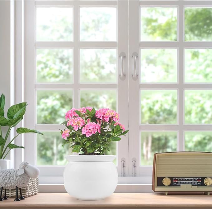 African Violet Pots, 6 inch Ceramic Easy Self Watering Plant Pot for Busy Plant Lovers, Automatically Absorb Appropriate Amount of Water, Flower Pot Indoor-Plants Not Included