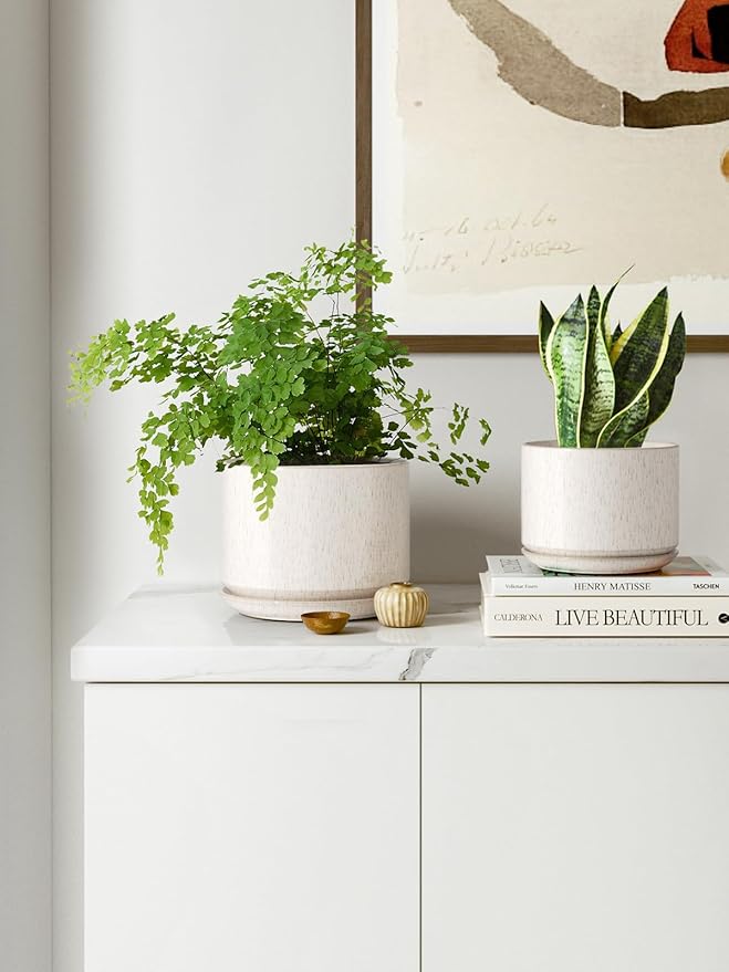 LE TAUCI Ceramic Plant Pots, 4.3+5.3+6.8 inch, Set of 3, Planters with Drainage Hole and Saucer, Indoor Flower Pot with Hole Mesh Pad, Gifts for Mom, Reactive Glaze Beige