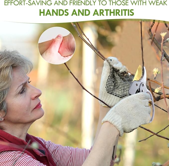 Titanium Garden Clippers, Premium Germany Pruners, Work 3 Times Easier, Professional Pruning Shears, Cutting Rose, Flower, Hedge, Stem, Sharp Gardening Scissors, Arthritis Weak Hand Snips