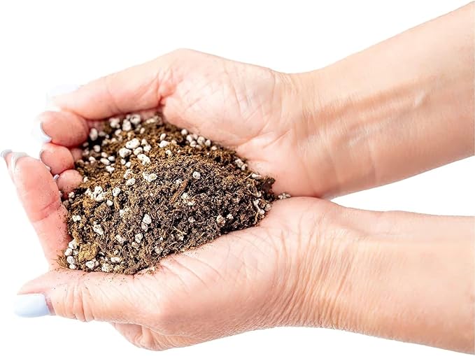 Premium Jade Plant Potting Soil Mix - (5 Quart Bag)