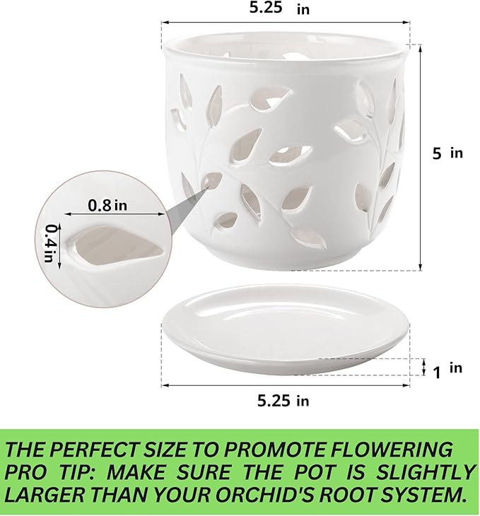 Orchid Pot with Holes & Saucer Ceramic 5.25 in. Indoor or Outdoor Large Pot for Orchid Care & Root Health with Precise Aeration & Drainage – Durable for Repotting or New Plants