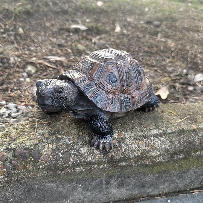 Danmu 1Pc of Polyresin Tortoise Statue Garden Statues, Outdoor Statues, Garden Ornaments, Yard Statue for Home and Fairy Garden Decor (S 5 1/10" x 4 1/3" x 2 1/3")