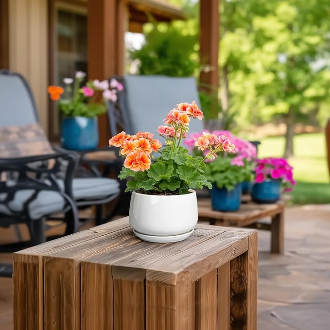 G EPGardening Ceramic Plants Pots - 4 inch Succulent Pots for Indoor Outdoor, Small Planter with Drainage Hole & Saucer, Round Planter, Modern Flower Pot, Office Decor, Plant Lovers Gifts, White