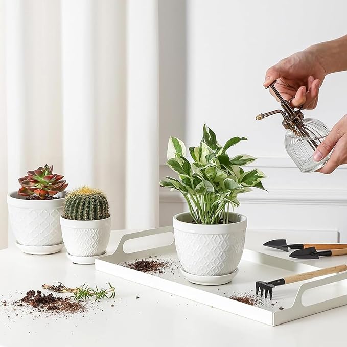 Sureasy Succulent Pots, 3.5 Inch Flower Pots for Indoor Plants, Small Plant Pots with Saucer & Drainage, Decorative Ceramic Planters for Succulent, Cactus, Set of 4, White